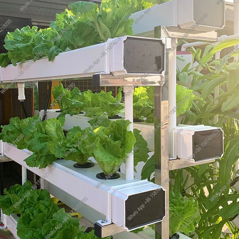 Smart Garden Vertical Planter - S Hydroponics Growing System Vegetable Strawberry