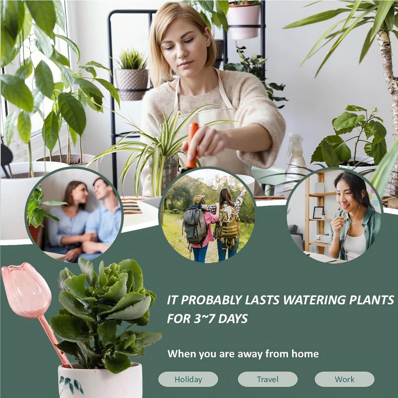 Pink Tulip Plant Watering Ball - Plant Watering Globe ulasan dan harga