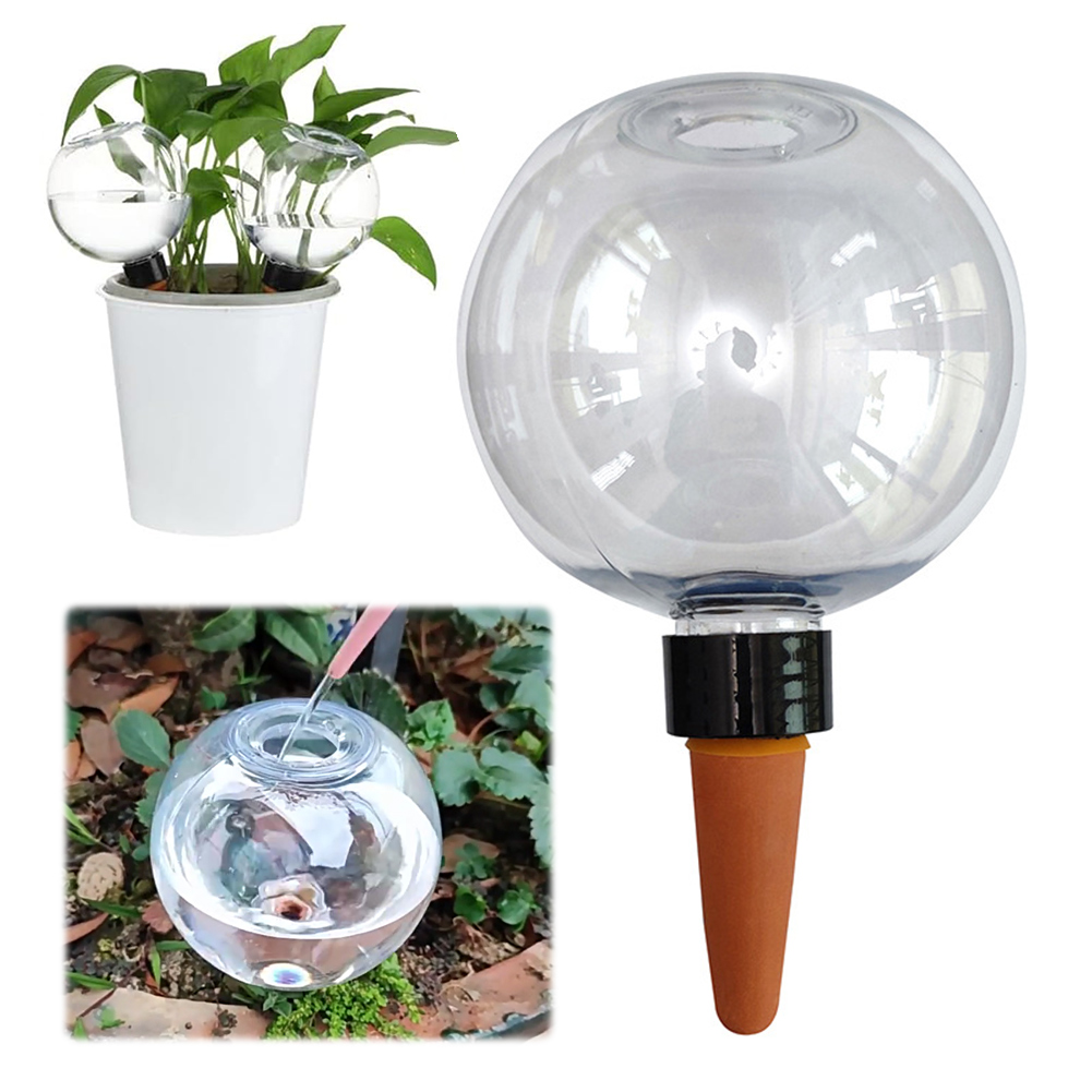 500ML Self Watering Globes Dri - Plant Watering Globe ulasan dan harga