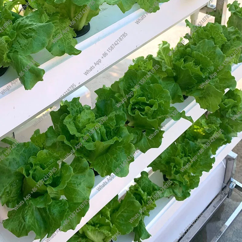 S Hydroponics Growing System V - Smart Garden Vertical Planter ulasan dan harga