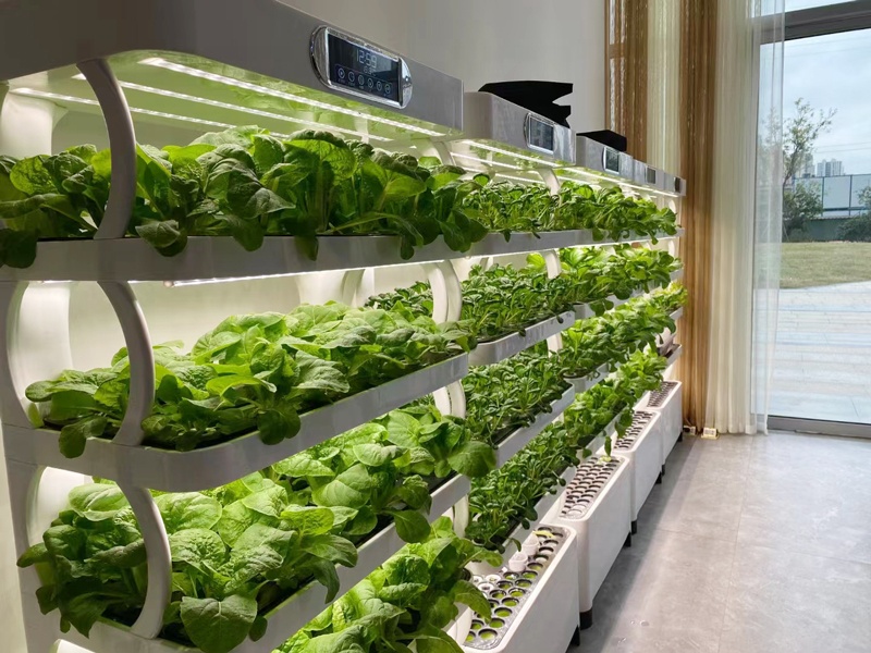 and Vertical Greenhouse Comple - Smart Garden Vertical Planter ulasan dan harga
