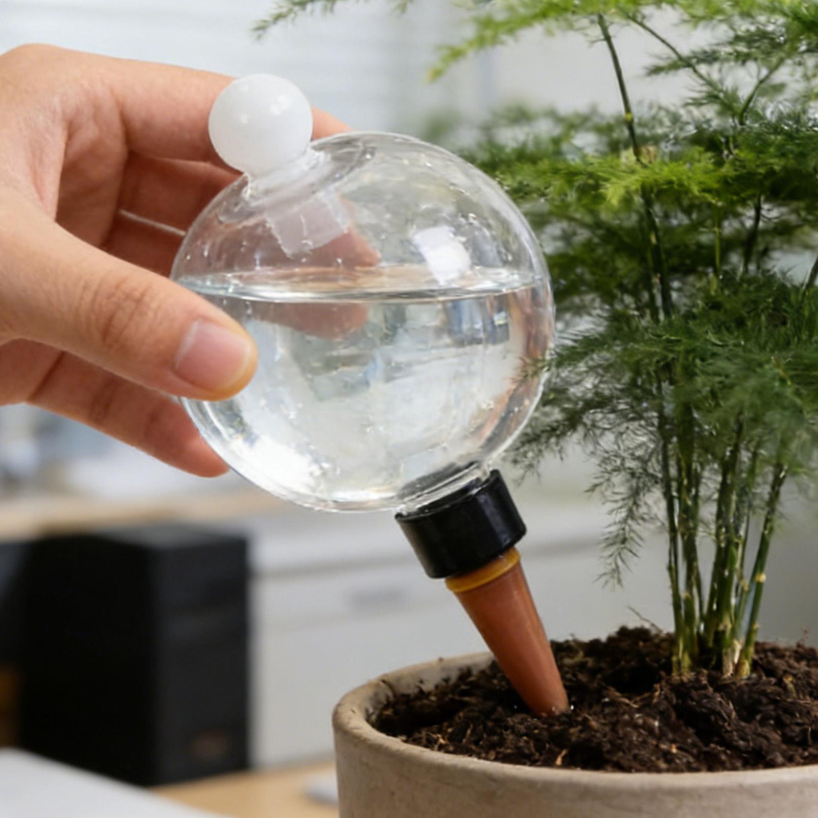 Plant Watering Bulbs 4pcs 500m - Plant Watering Globe ulasan dan harga