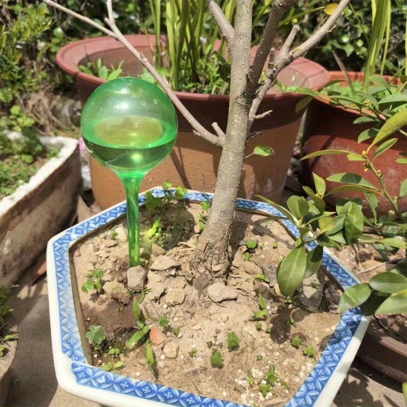 6PCS Indoor Plants Self Wateri - Plant Watering Globe ulasan dan harga