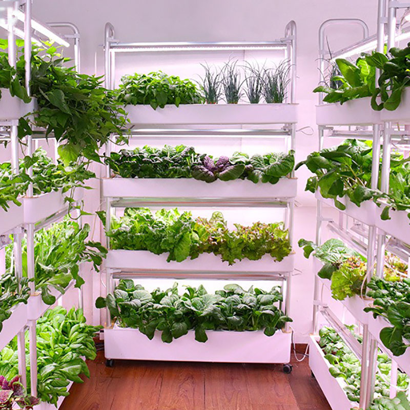 Hydroponics Growing System Ver - Smart Garden Vertical Planter ulasan dan harga