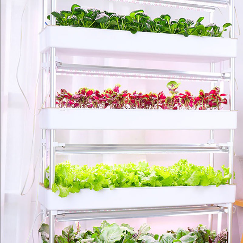Hydroponics Growing System Ver - Smart Garden Vertical Planter ulasan dan harga