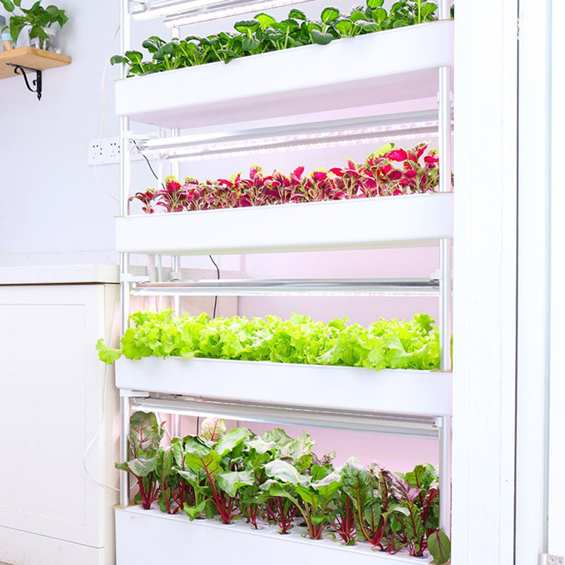 Hydroponics Growing System Ver - Smart Garden Vertical Planter ulasan dan harga