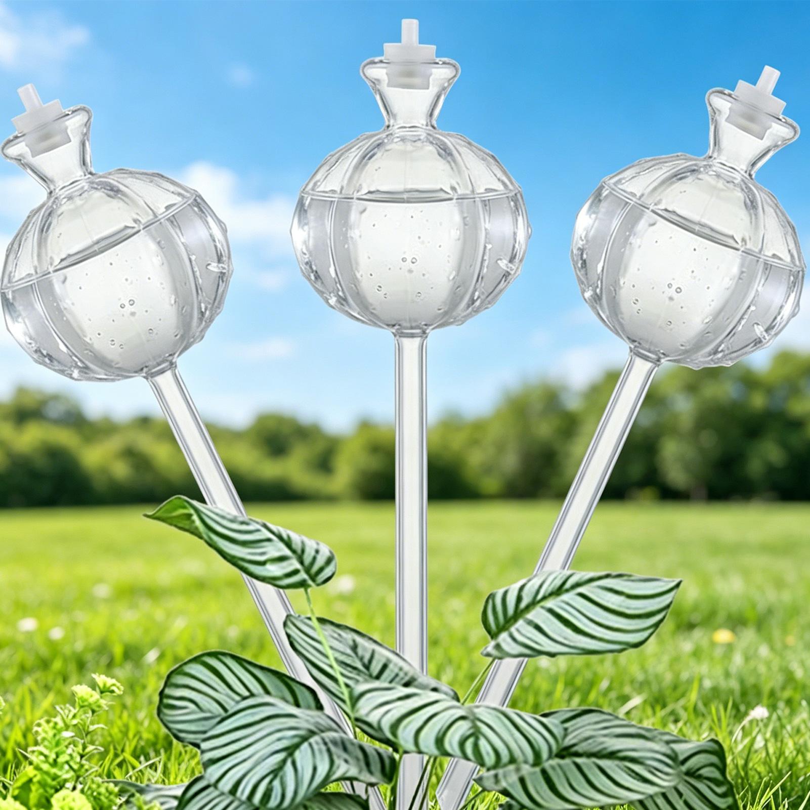 Self-Watering Globes 3 Pieces  - Plant Watering Globe ulasan dan harga