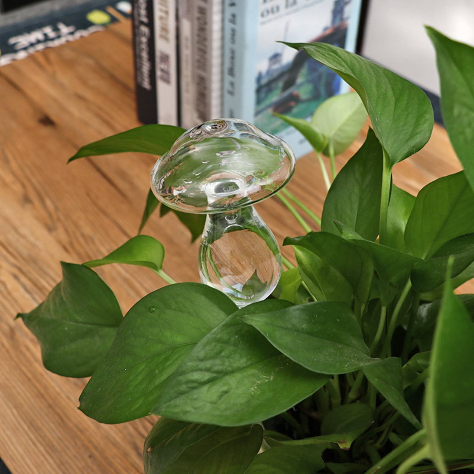 Automatic Plant Watering Globe - Plant Watering Globe ulasan dan harga