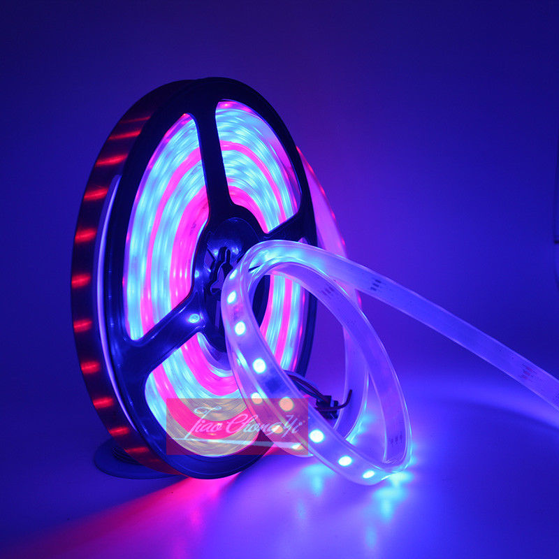 DC12V 5M Chasing Dream Magic C - Smart Garden Diy ulasan dan harga