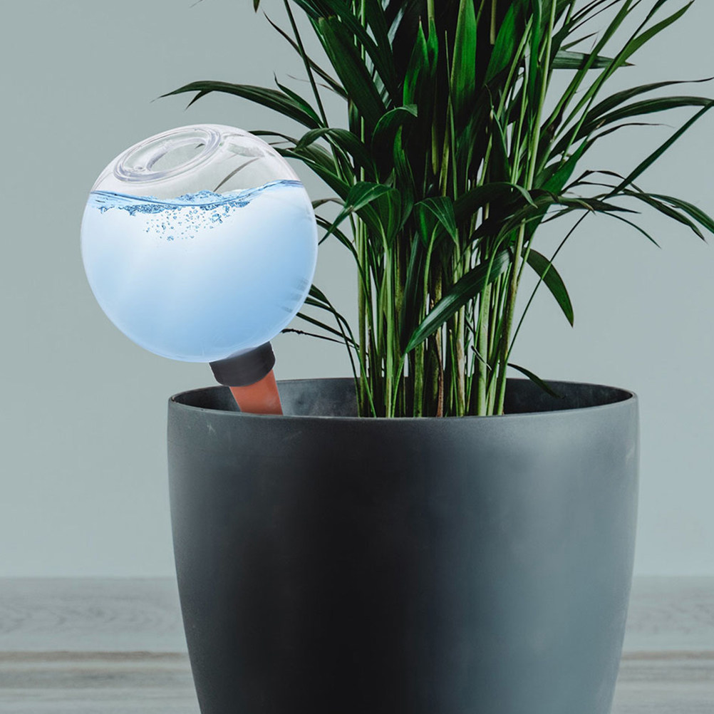 3Pcs Automatic Plant Waterer S - Plant Watering Globe ulasan dan harga