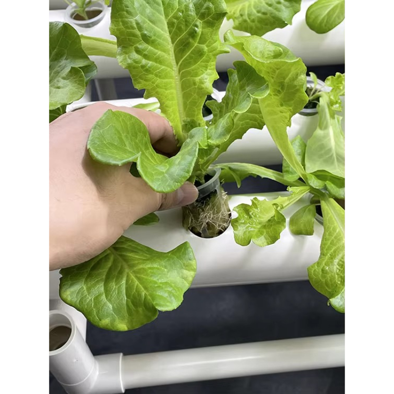 108 Holes Hydroponic Grow Kit  - Aquaponics Home Kit ulasan dan harga
