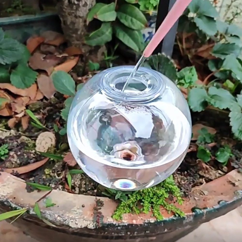 500ML Self Watering Globes Dri - Plant Watering Globe ulasan dan harga