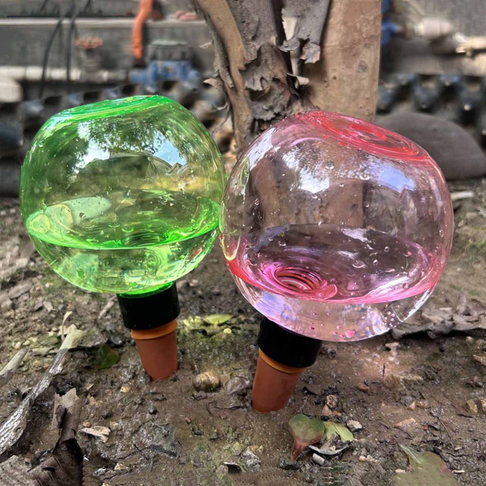 1/4pcs Watering Balls Automati - Plant Watering Globe ulasan dan harga