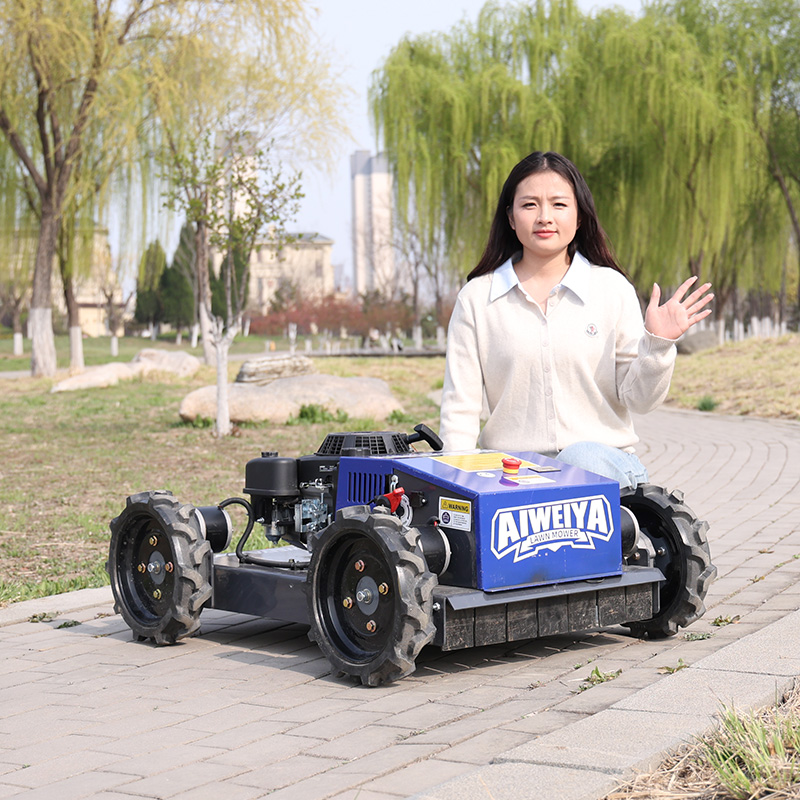 Customized Automatic Robot Law - Smart Garden Gadgets ulasan dan harga