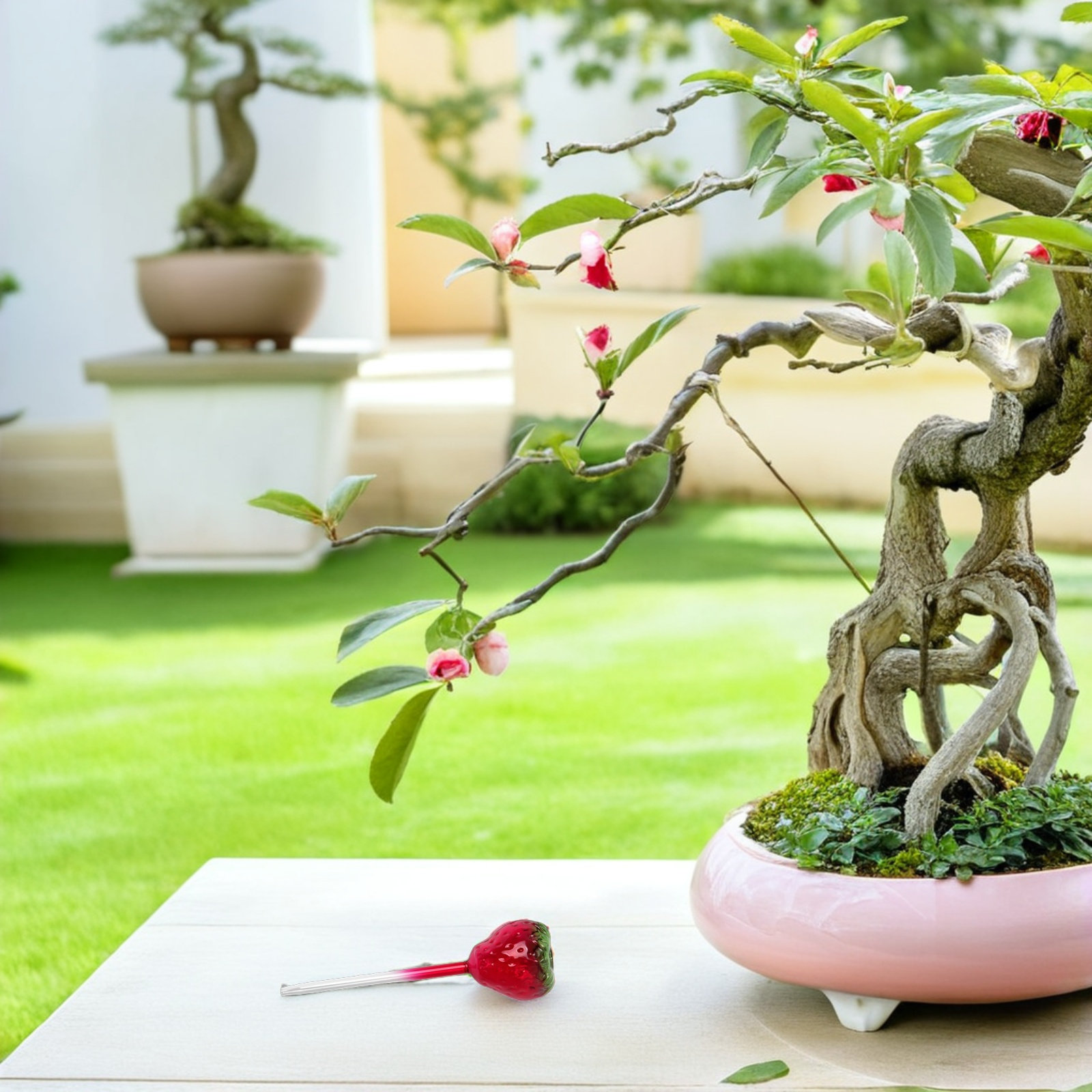 2Pcs Glass Strawberry Plant Wa - Plant Watering Globe ulasan dan harga