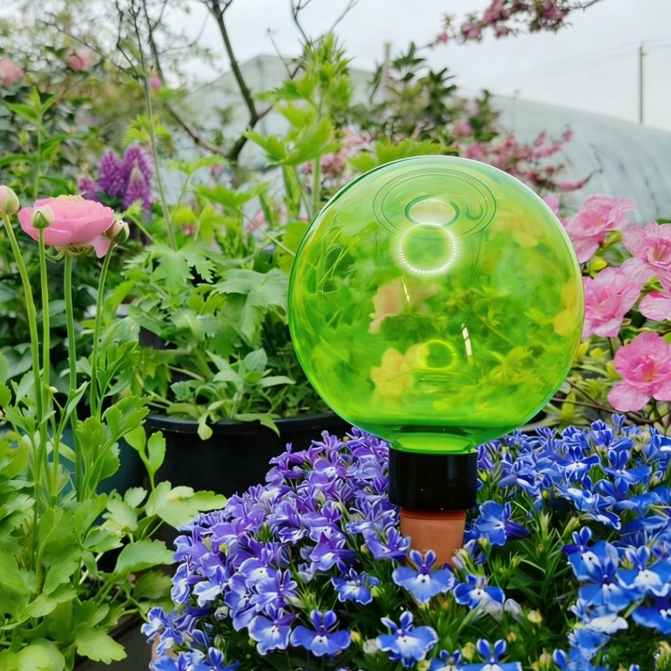 3pcs Large Plant Self Watering - Plant Watering Globe ulasan dan harga