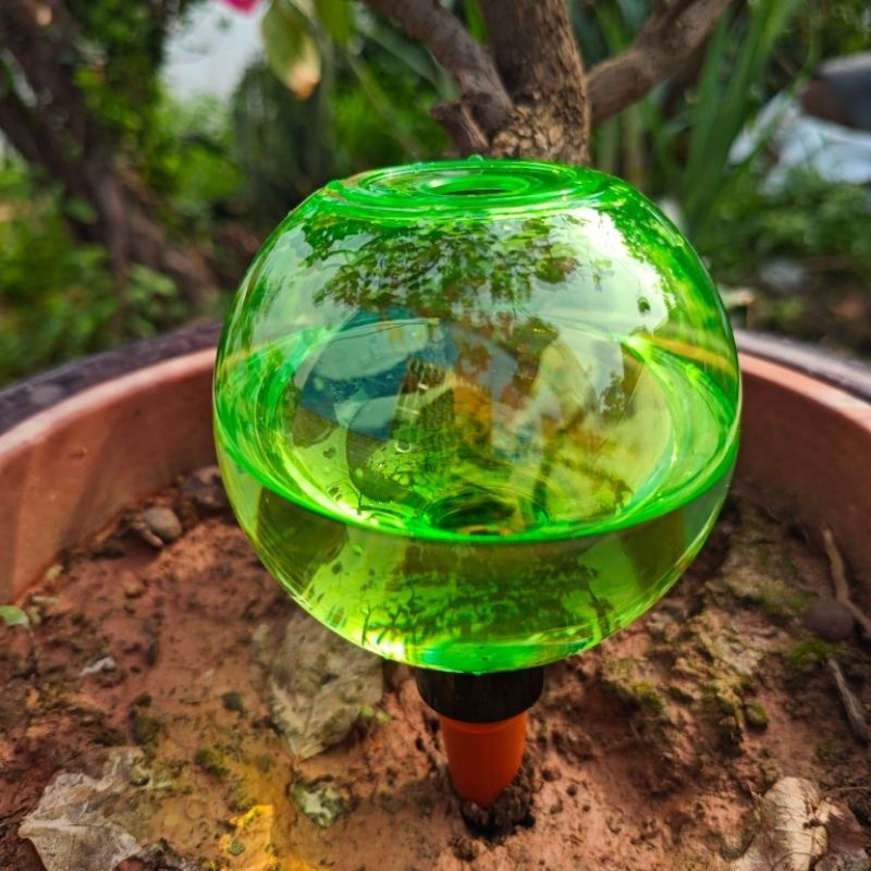 3pcs Large Plant Self Watering - Plant Watering Globe ulasan dan harga