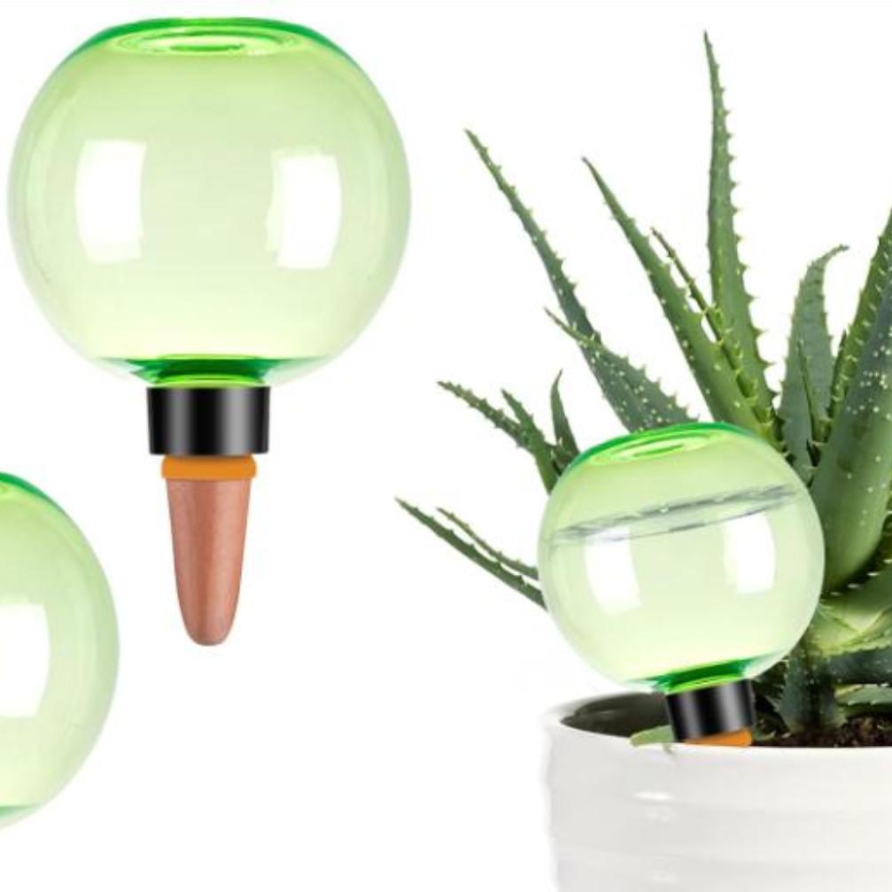 3pcs Large Plant Self Watering - Plant Watering Globe ulasan dan harga