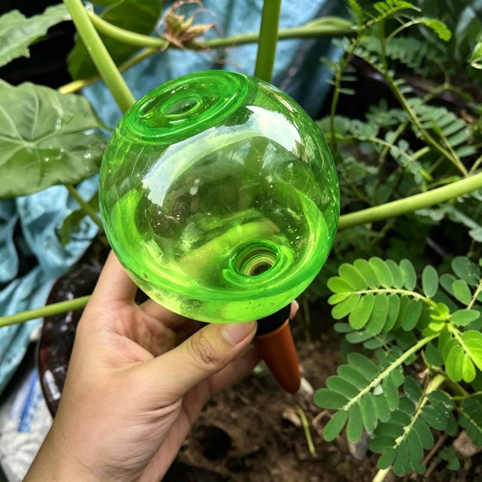 1/4pcs Plant Self Watering Glo - Plant Watering Globe ulasan dan harga