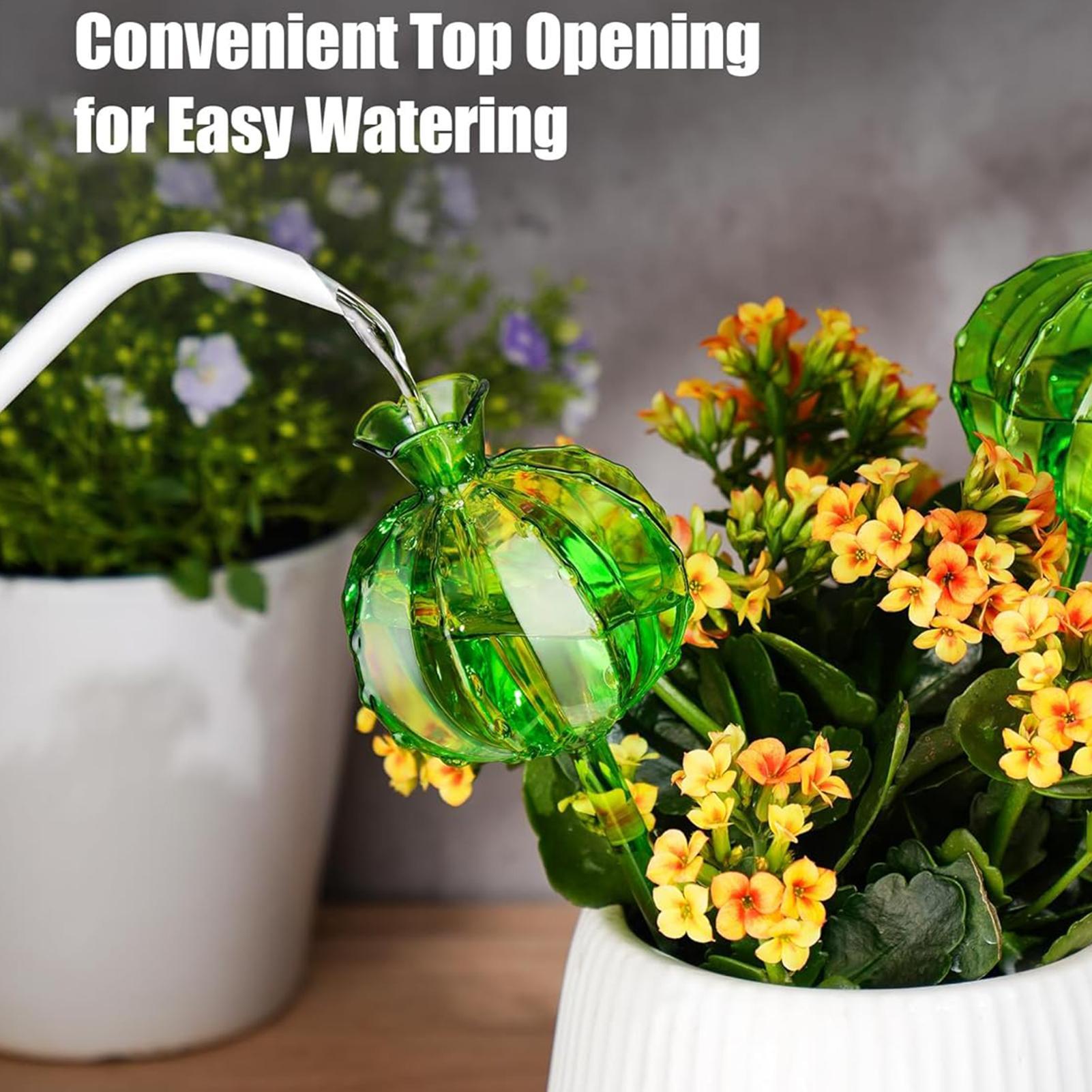 Plant Watering Globes Stakes 3 - Plant Watering Globe ulasan dan harga